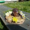 he likes daisys