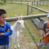 me, my friend and a goat